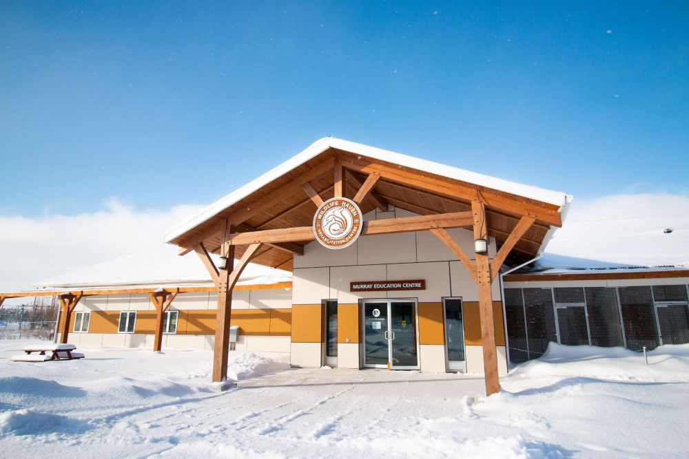 Wildlife Haven Rehabilitation Centre