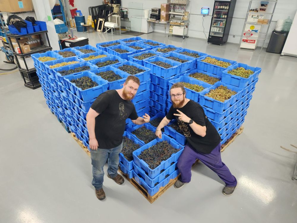 Shrugging Doctor Beverage Company