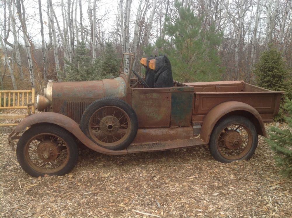 James Niedermayer