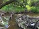 Save Our Seine River Environment Inc.