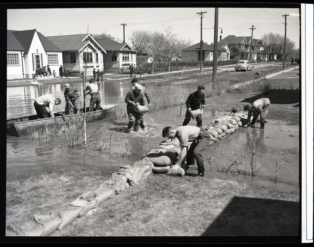 Diking during the 1950 flood