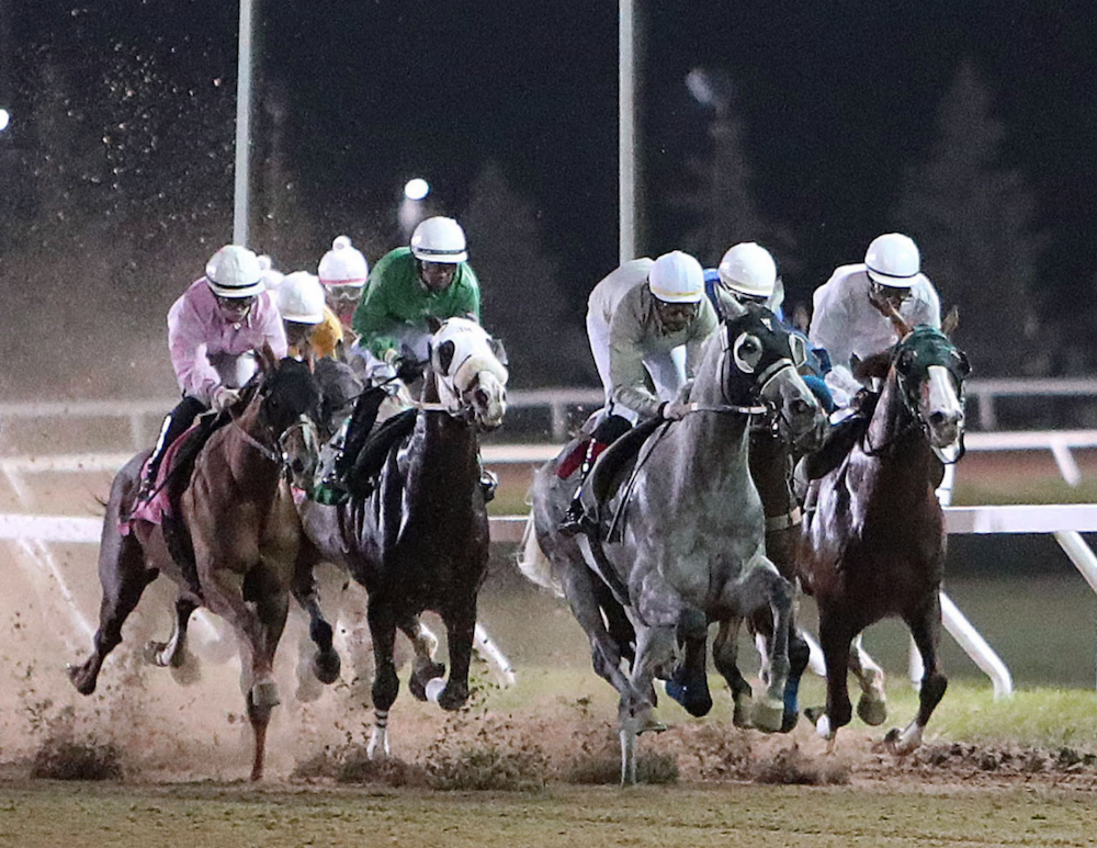 Assiniboia Downs